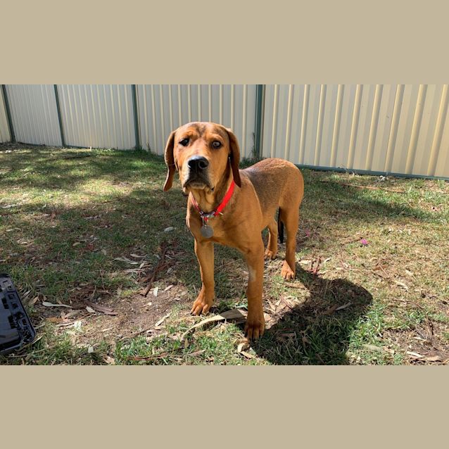 Photo of Slinky