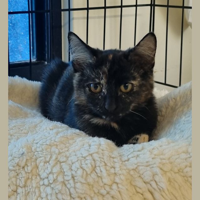 Photo of Mystic
