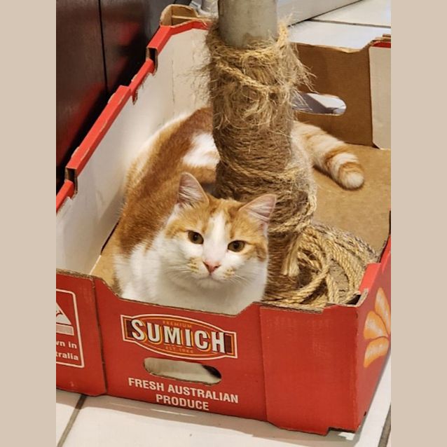 Photo of Mr Squiggles