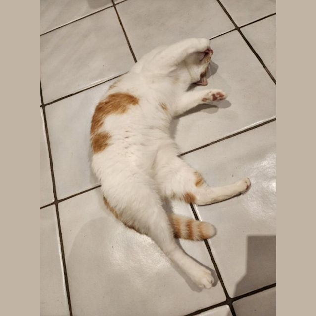 Photo of Mr Squiggles