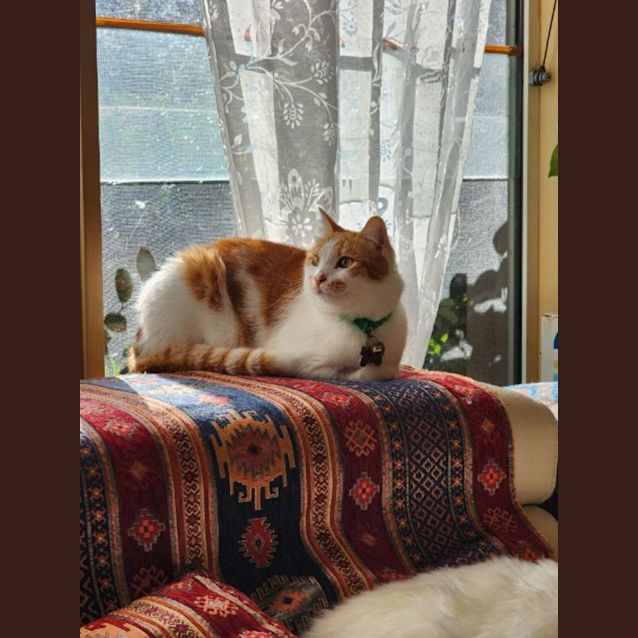 Photo of Mr Squiggles