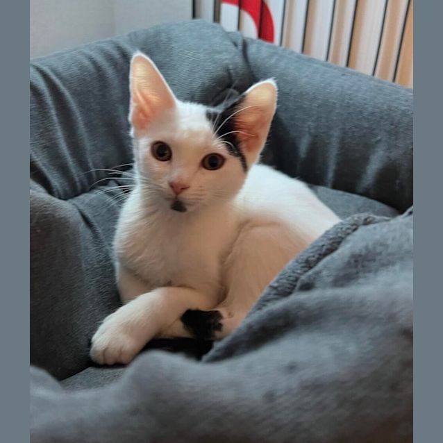 Photo of Aquaria