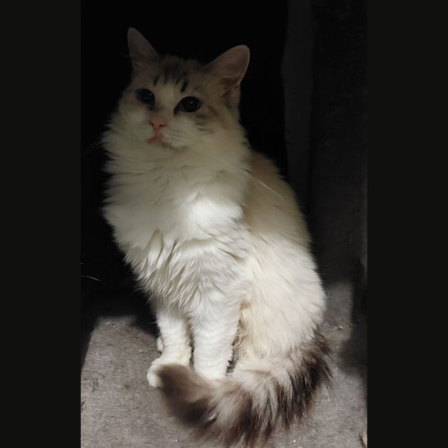 Photo of Charley
