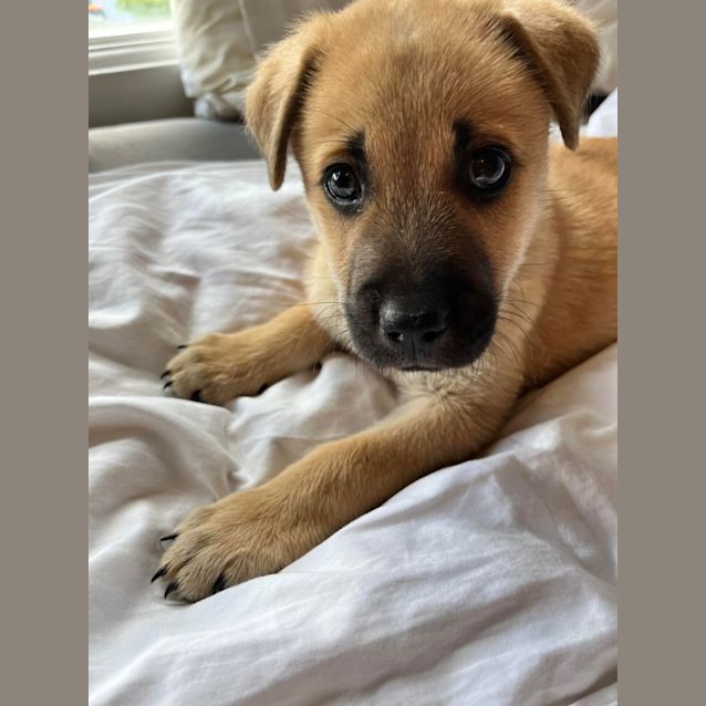 Photo of Kylo