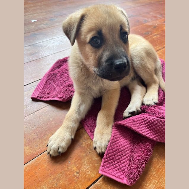 Photo of Kylo
