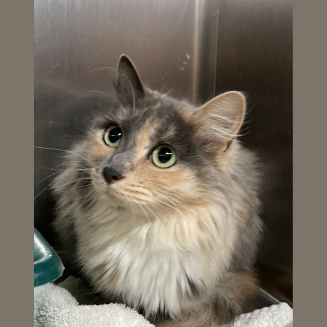 Photo of Ethel