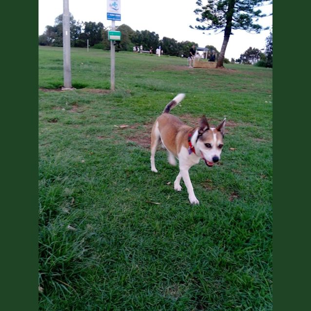 Photo of Bingo