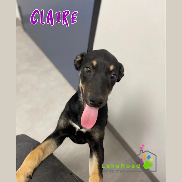 Photo of Claire