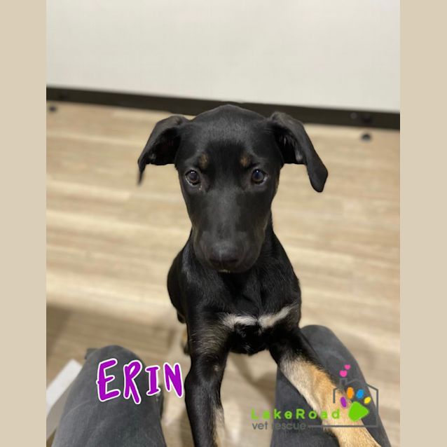 Photo of Erin