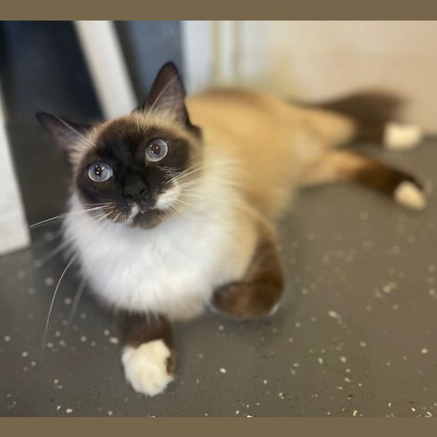 Photo of Cleo