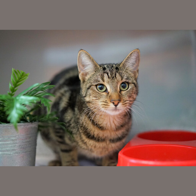 Photo of Cali
