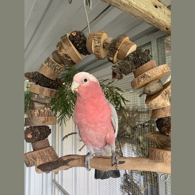Photo of Gloria