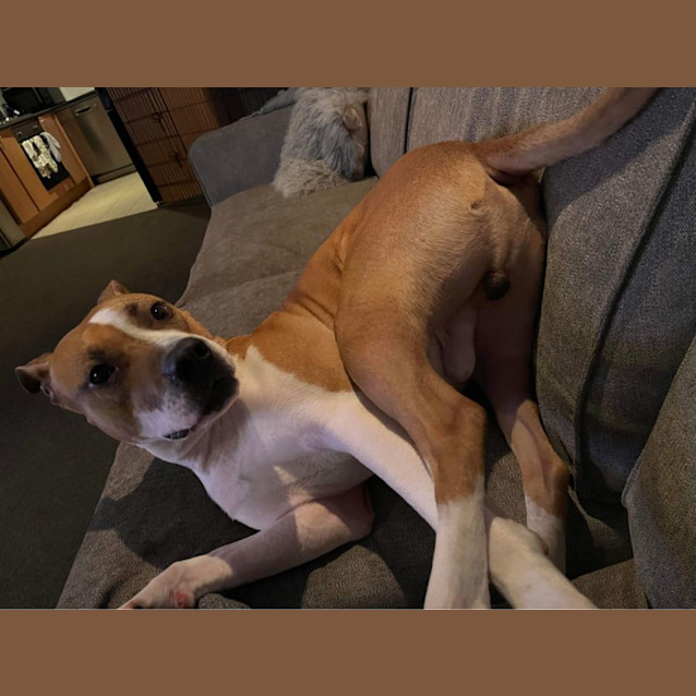 Photo of Buster