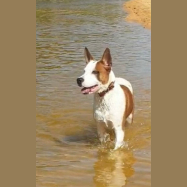 Photo of Finn
