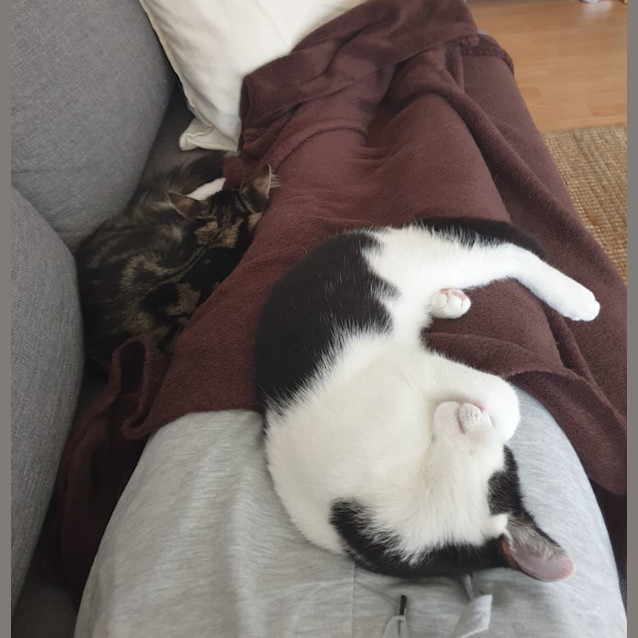 Photo of Bernie And Amy 