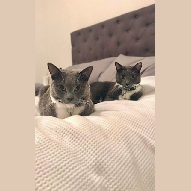 Photo of Kai & Kenji