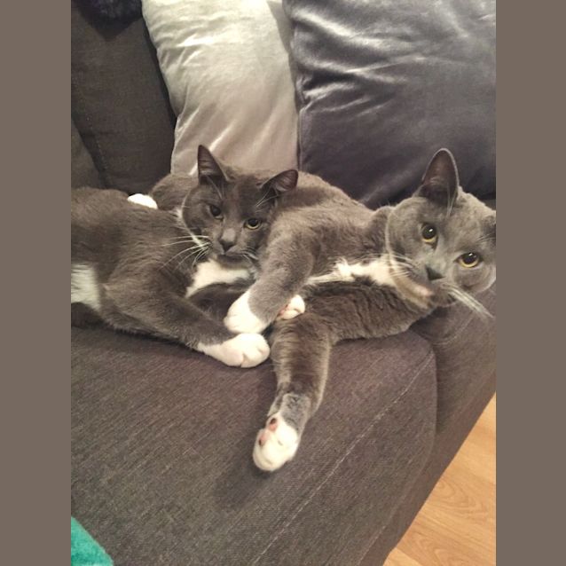 Photo of Kai & Kenji