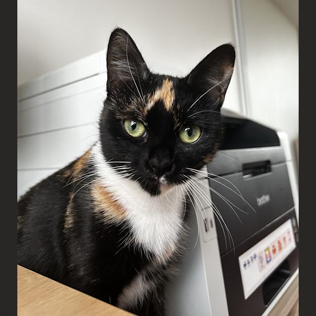 Photo of Zira