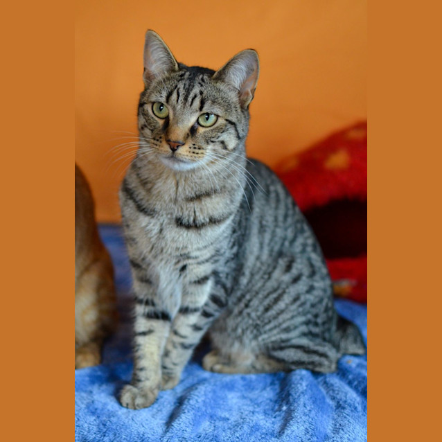 Photo of Hudson 💖