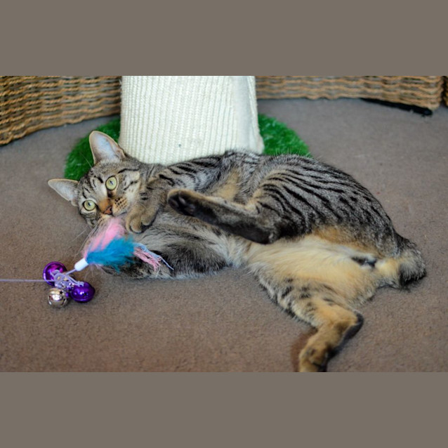 Photo of Hudson 💖