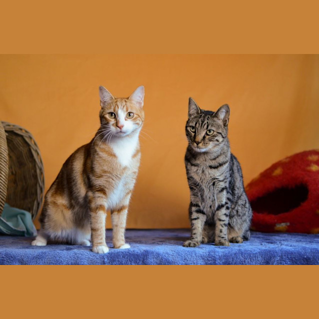 Photo of Hudson 💖