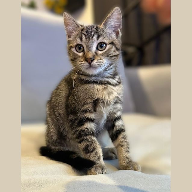 Photo of Ducky