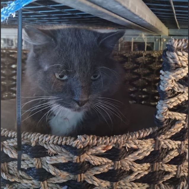 Photo of Humphrey 