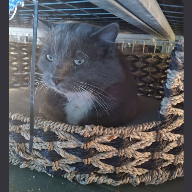 Photo of Humphrey 