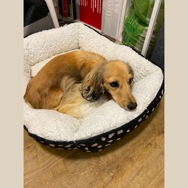 Photo of Elodie