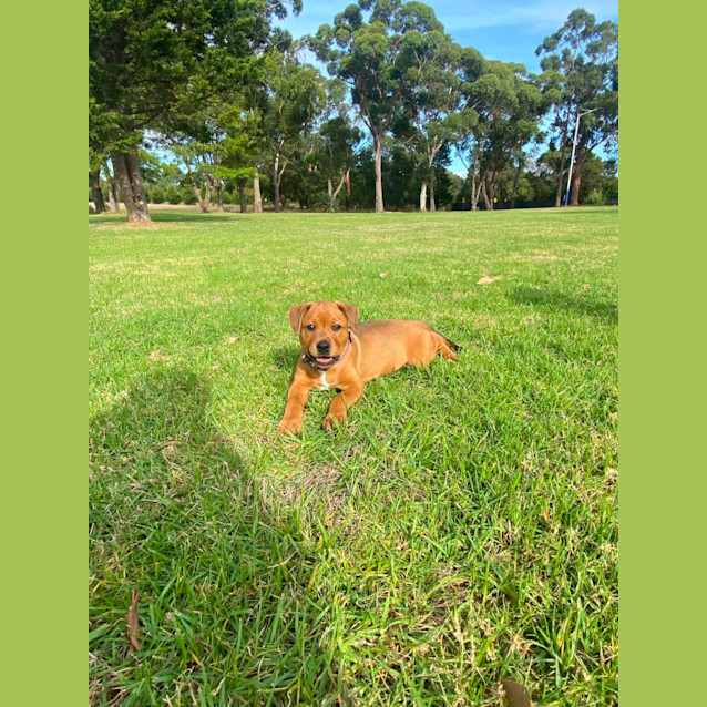 Photo of Mishka