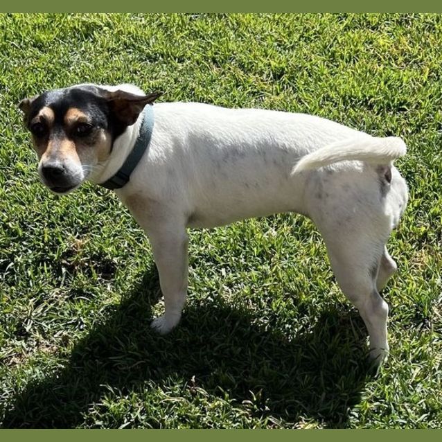 Photo of Milky