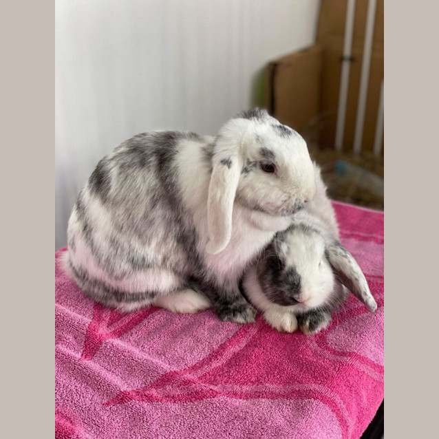 Photo of Crescent + Judy