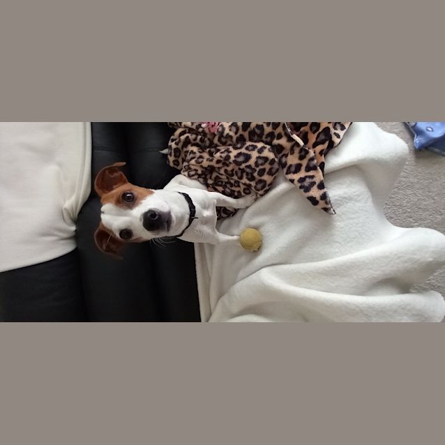 Photo of Mr Peabody