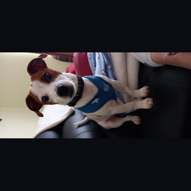 Photo of Mr Peabody