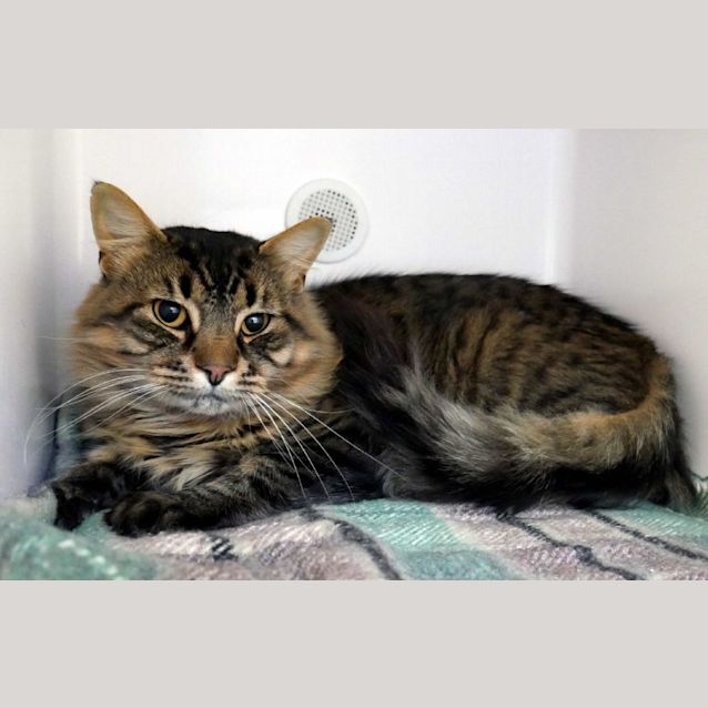 Photo of Brady Sta011177