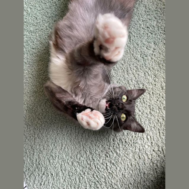 Photo of Bubbles (Located In Edithvale)