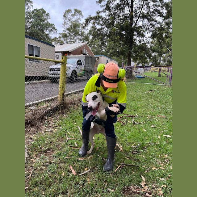 Photo of Junior Imp 200