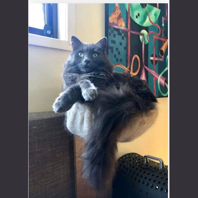 Photo of Bindi & Jeb