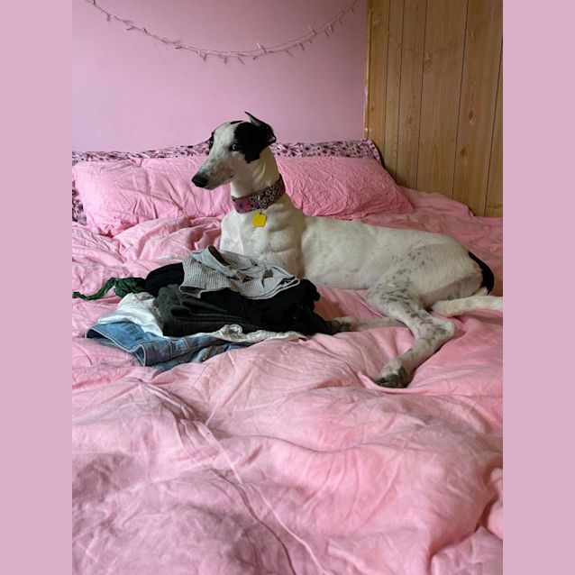 Photo of Queen Minnie 