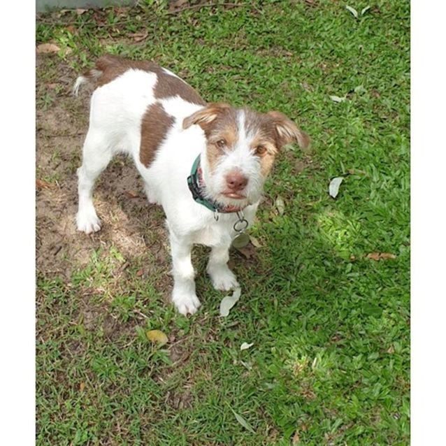 Photo of Tazzie