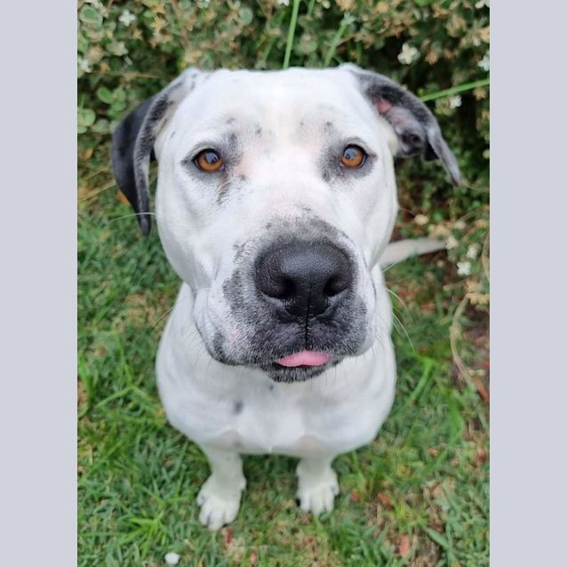 Photo of Missy Elliott