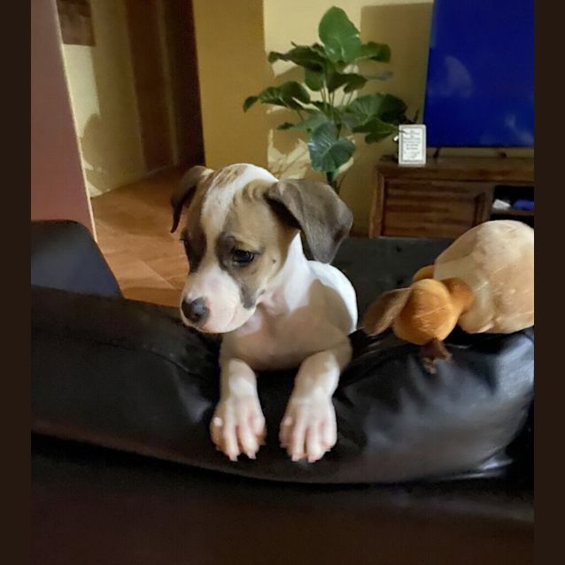 Photo of Lulu