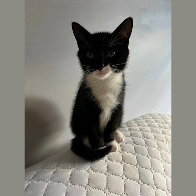 Photo of Ernie
