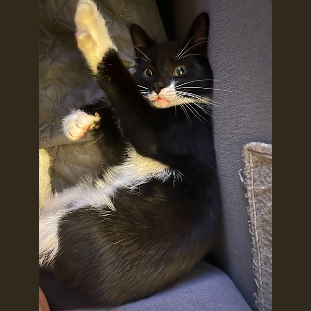 Photo of Ernie