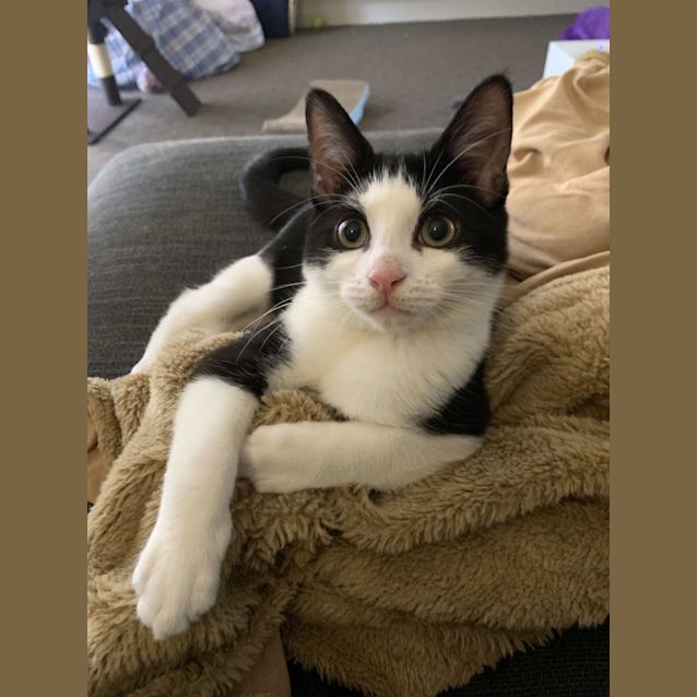 Photo of Li'l Bee & Baby Bug