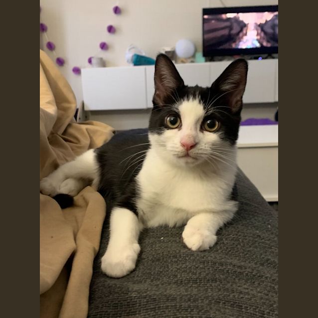 Photo of Li'l Bee & Baby Bug