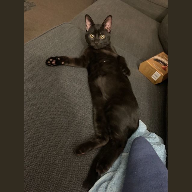 Photo of Li'l Bee & Baby Bug