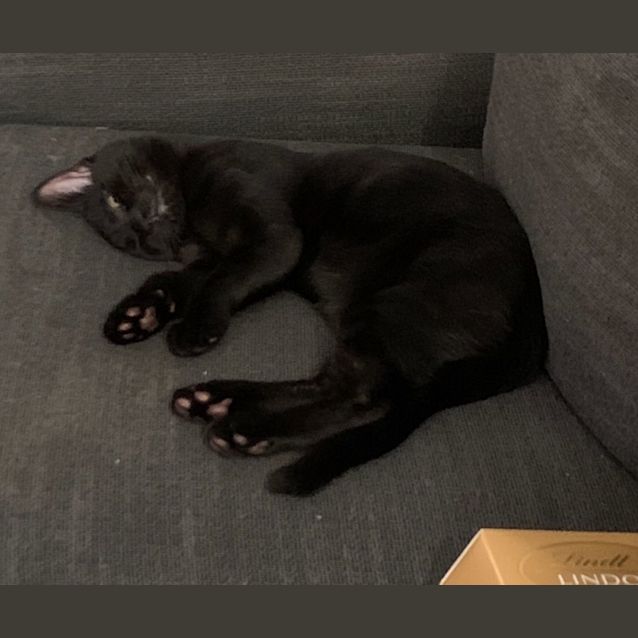 Photo of Li'l Bee & Baby Bug