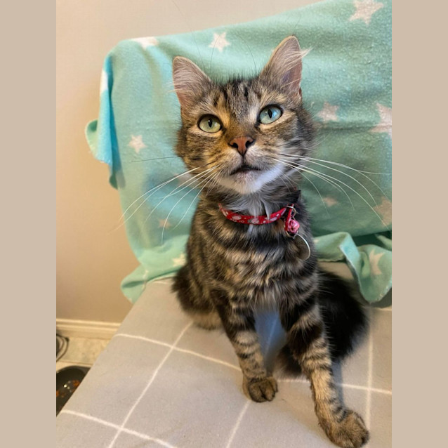 Photo of Alley
