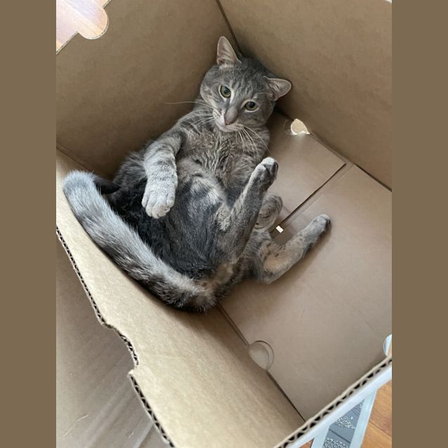 Photo of Momo